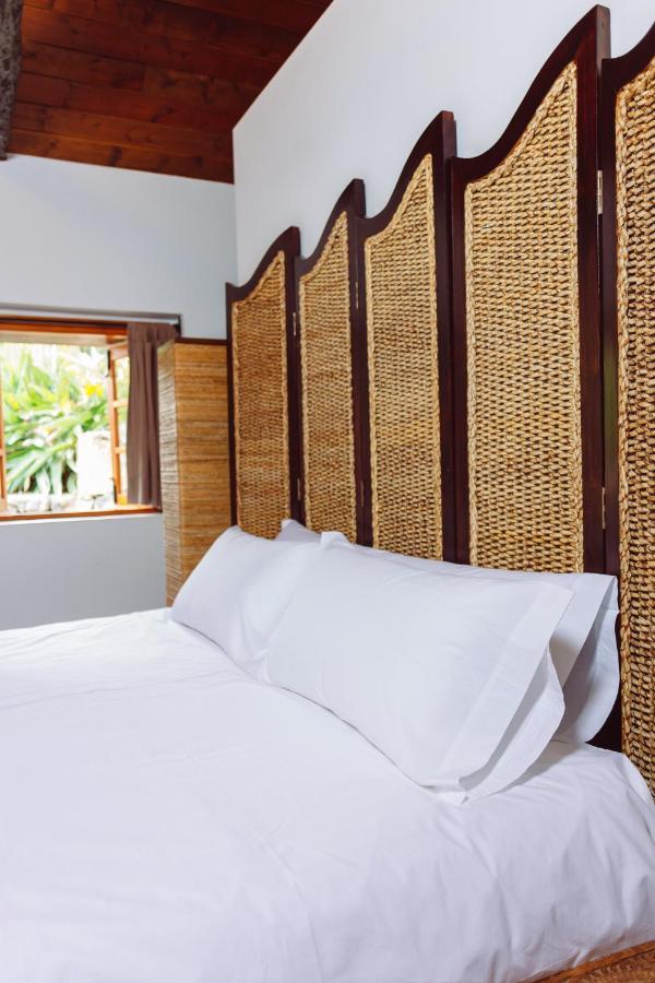 Ecoverode Hotel Emblematico Vegetariano Vegano Arona (Tenerife) Exterior foto